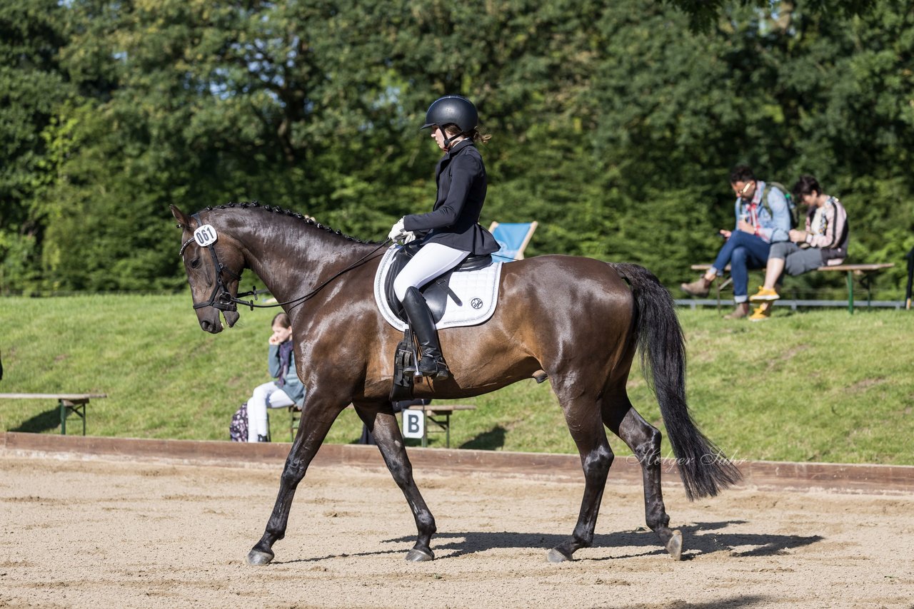 Bild 184 - Pony Akademie Turnier